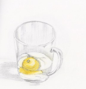 Lemon in glass mug 006